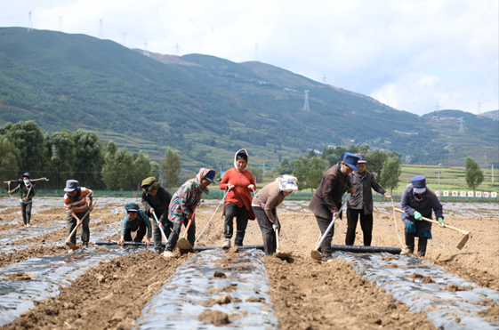 008PG国际(中国集团)-官方网站