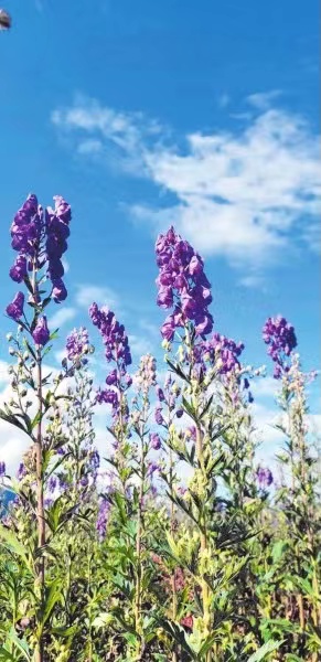 008PG国际(中国集团)-官方网站