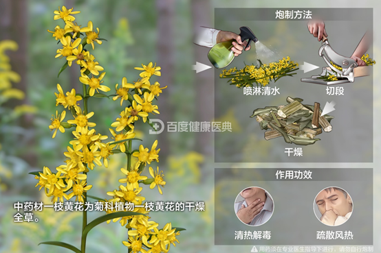 008PG国际(中国集团)-官方网站