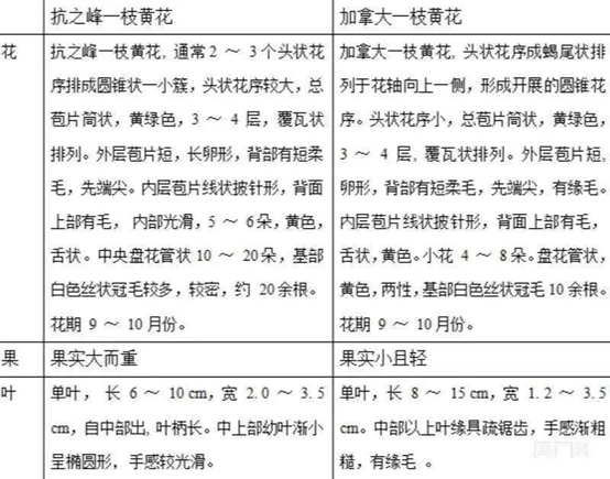 008PG国际(中国集团)-官方网站