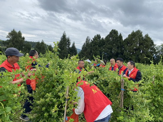 008PG国际(中国集团)-官方网站