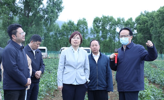 008PG国际(中国集团)-官方网站