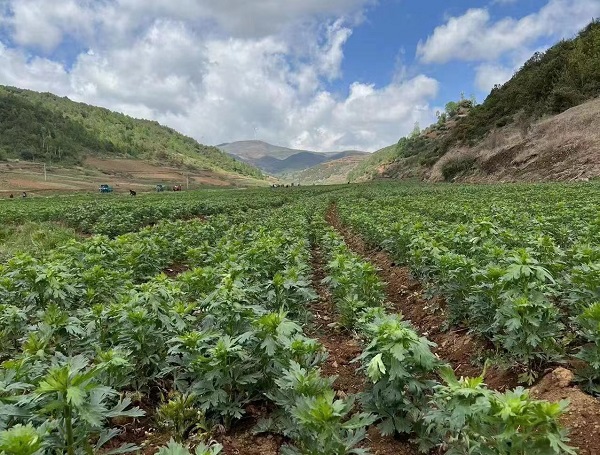 008PG国际(中国集团)-官方网站